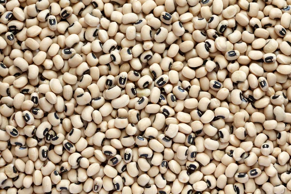 Black eyed peas — Stock Photo, Image