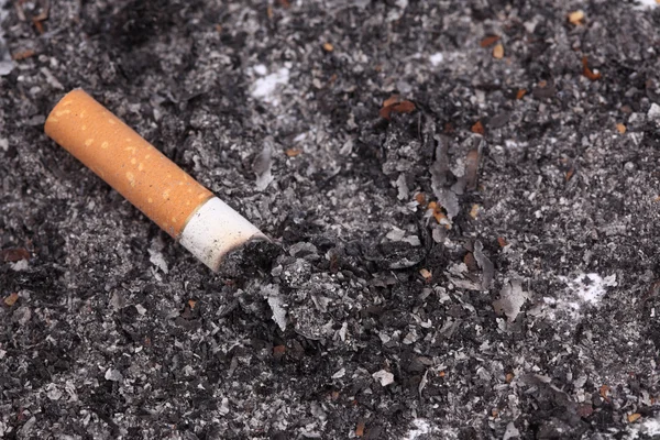 Uma ponta de cigarro — Fotografia de Stock