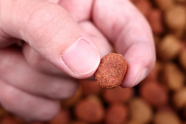 Comida de cão nos dedos acima do fundo de comida de cão — Fotografia de Stock