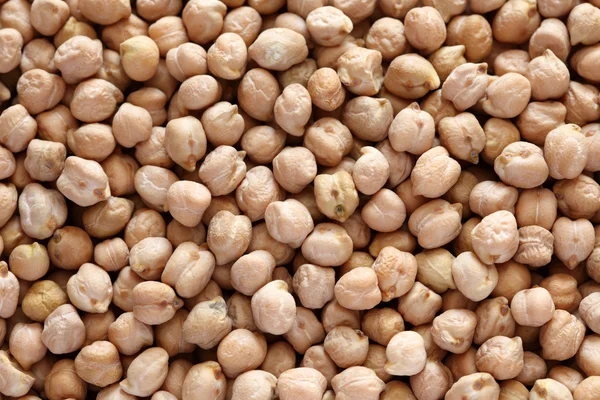 Chickpeas — Stock Photo, Image