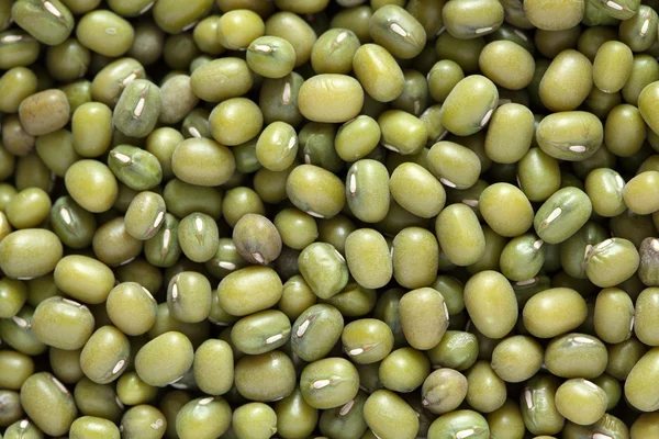 Mung Beans — Stock Photo, Image