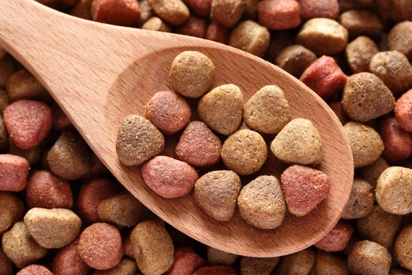 Dog food in a wooden spoon — Stock Photo, Image