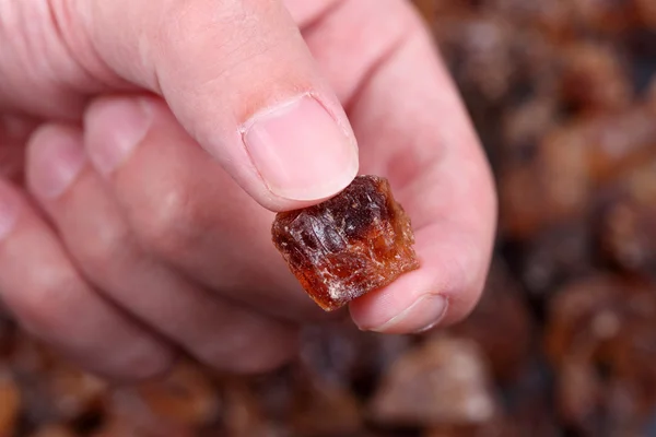 Rock parmakları içinde şeker kamışı — Stok fotoğraf