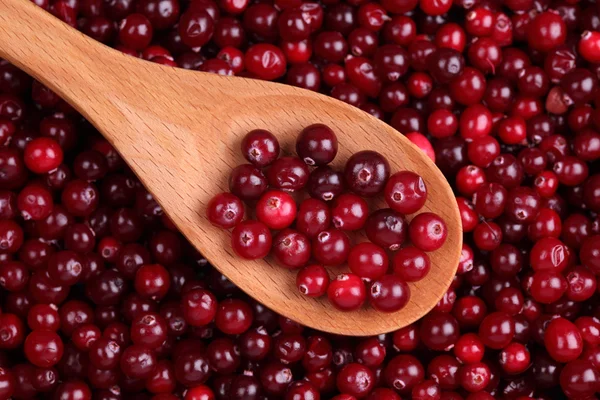 Cranberry in a wooden spoon — Stock Photo, Image