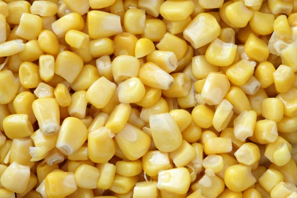 Preserved corn — Stock Photo, Image