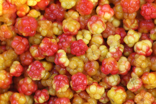 Cloudberry — Stock Photo, Image