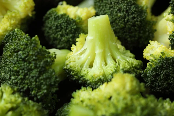 Taze Haşlanmış brokoli — Stok fotoğraf
