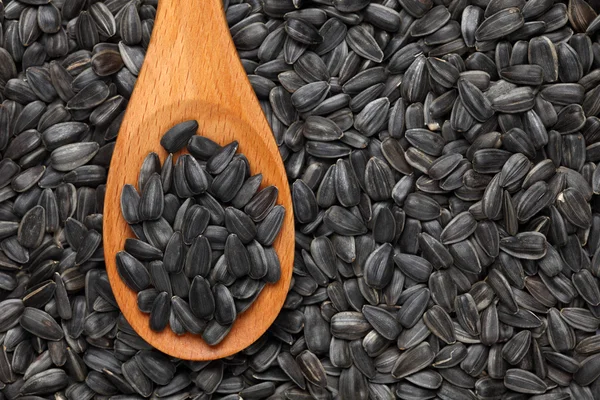 Sunflower seeds in a wooden spoon — Stock Photo, Image