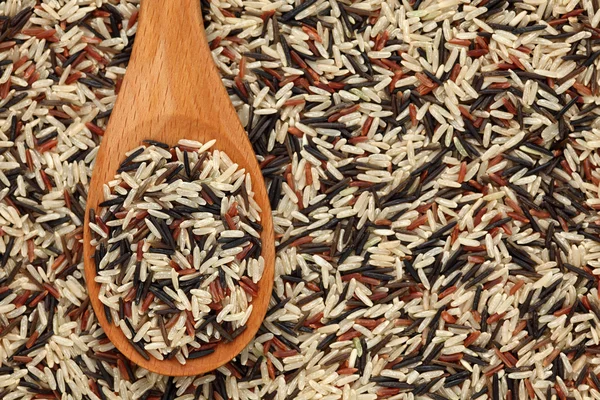 Gemengde rijst in een houten lepel — Stockfoto