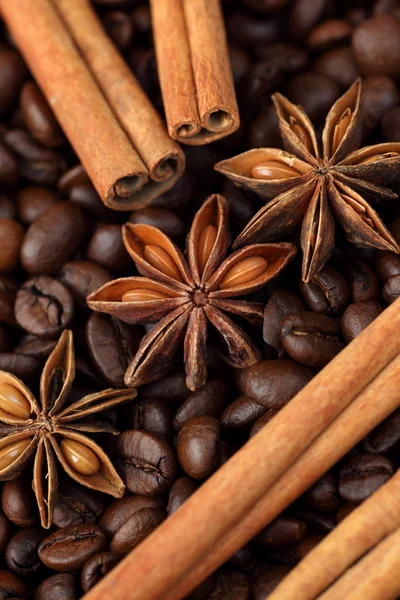 八角茴香、 肉桂棒和咖啡豆。特写. — 图库照片