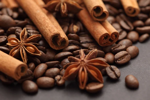 Cinnamon sticks, star anise and coffee beans — Stock Photo, Image