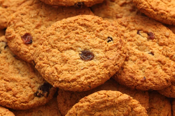 Yulaflı üzümlü kurabiye — Stok fotoğraf
