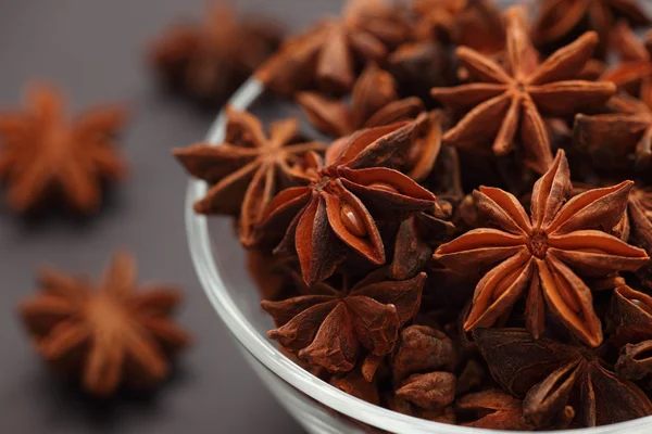 Star Anise — Stock Photo, Image