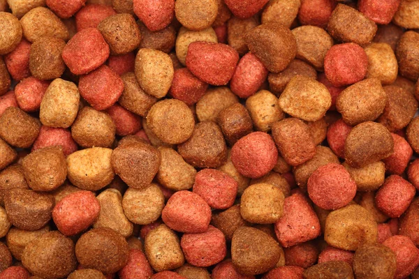 Dog Food — Stock Photo, Image