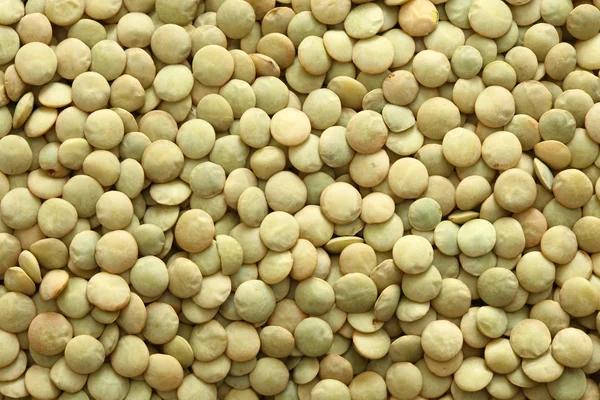 Green lentils — Stock Photo, Image