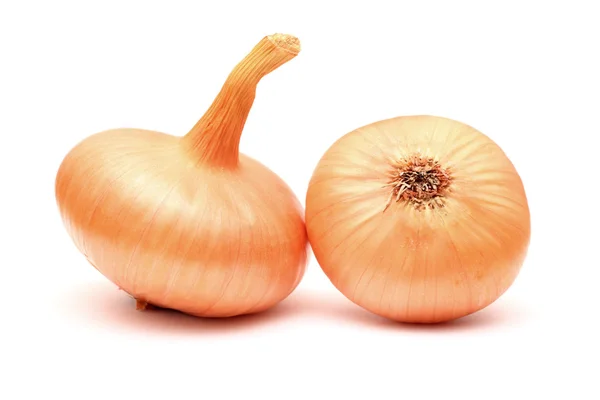 Two onions — Stock Photo, Image