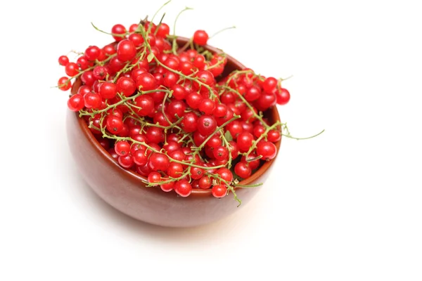 Red currants in bowl — Stock Photo, Image