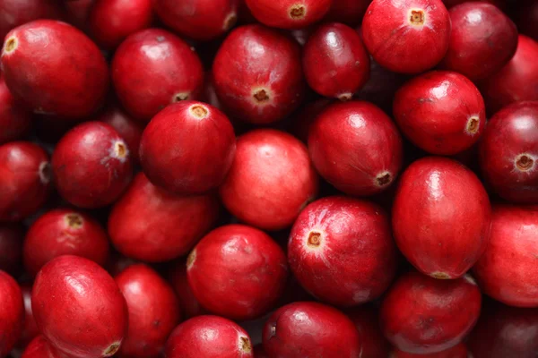 Cranberry close-up — Fotografie, imagine de stoc