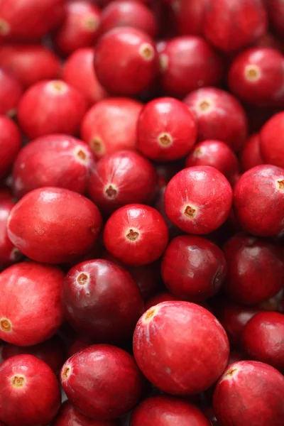 Cranberry close-up — Fotografie, imagine de stoc
