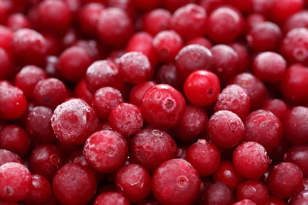Frozen cranberry — Stock Photo, Image