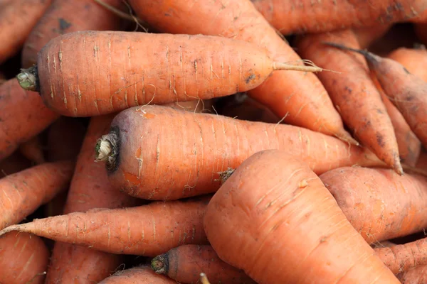 Organic Carrots — Stock Photo, Image