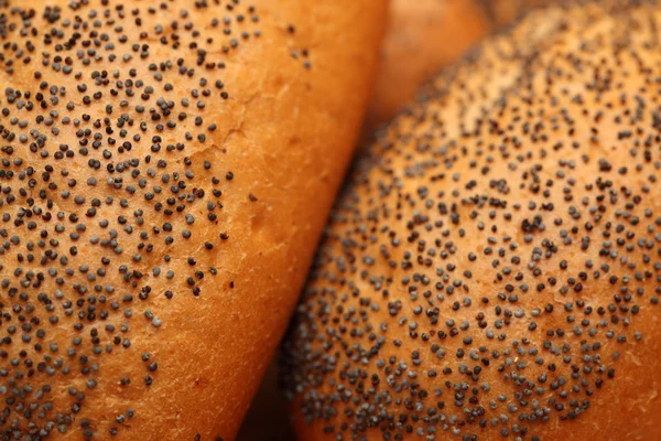 Rolls with poppy seeds close-up — Stock Photo, Image