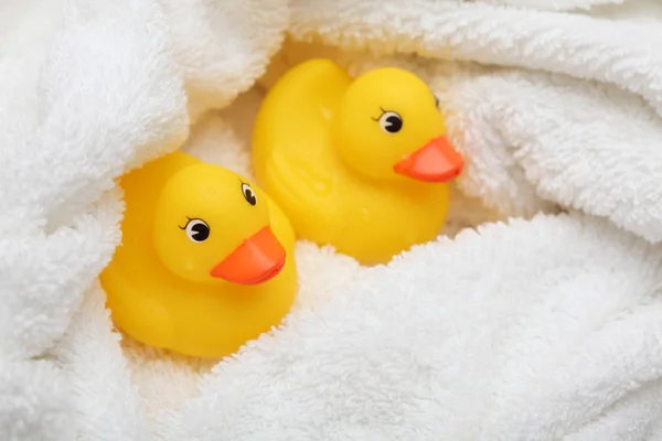 Ducks gomma dopo il bagno avvolto in asciugamano — Foto Stock