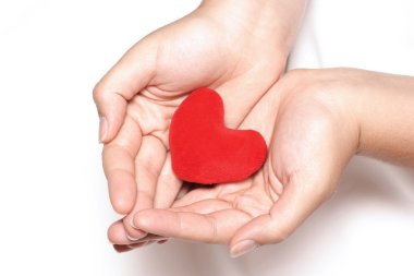Red heart in hands clipart