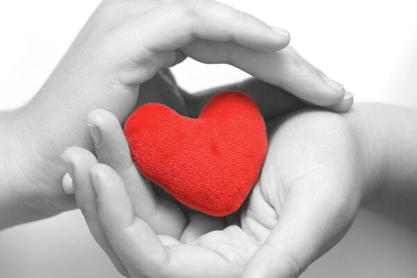 Сердце в ладонях (BW
)