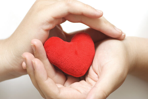 Сердце в ладонях
