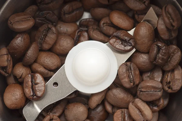 Kaffekvarn med kaffe bönor — Stockfoto