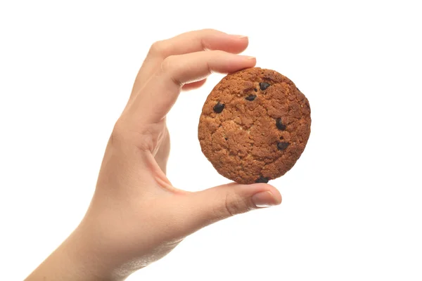 Oatmeal chocolate chip cookie in hand — Stock Photo, Image