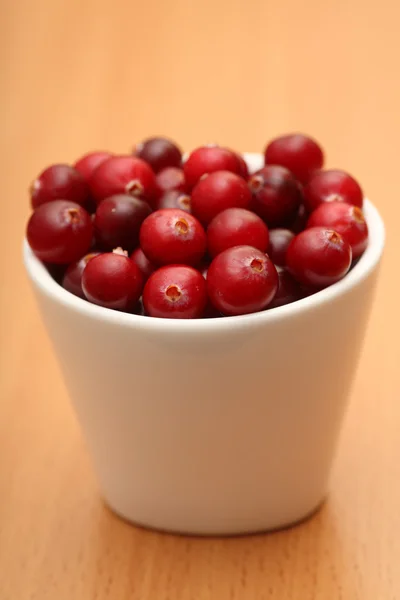 Cranberry — Stock Photo, Image