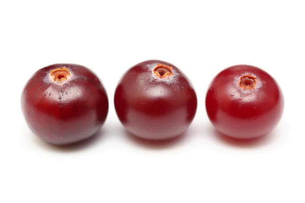 Three cranberries — Stock Photo, Image