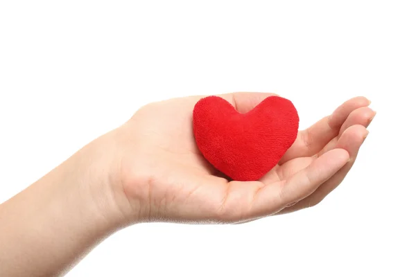 Heart in the hand — Stock Photo, Image