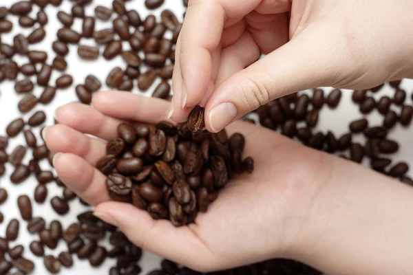 Untersuchung von Kaffeebohnen — Stockfoto