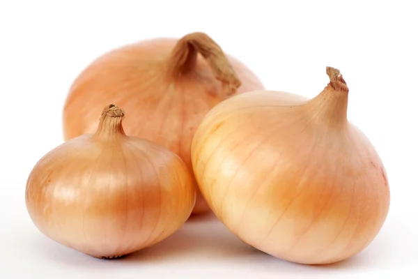 Three onions — Stock Photo, Image