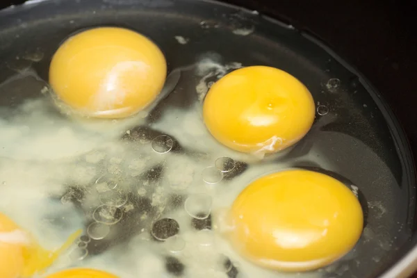 Egg yolks — Stock Photo, Image