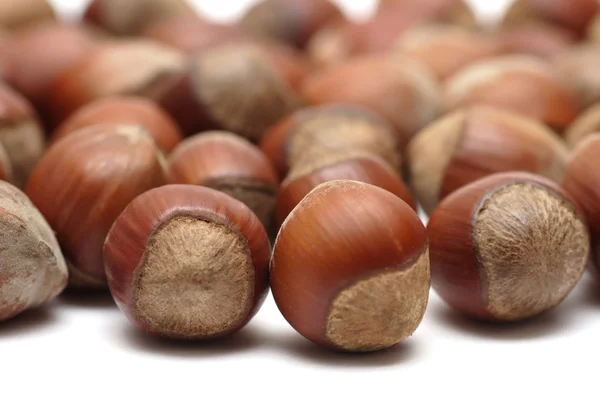 Hazelnuts — Stock fotografie