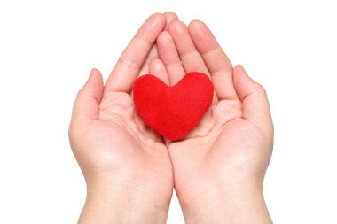 Purple heart in the hands clipart