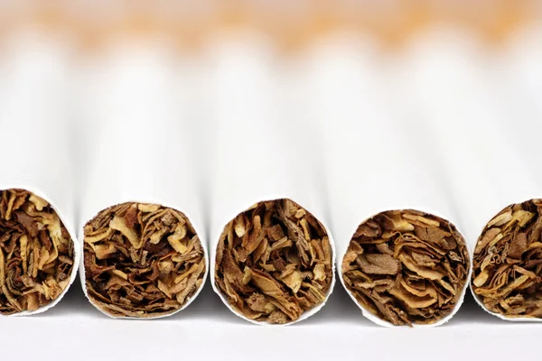 Cigarettes close-up — Stock Photo, Image