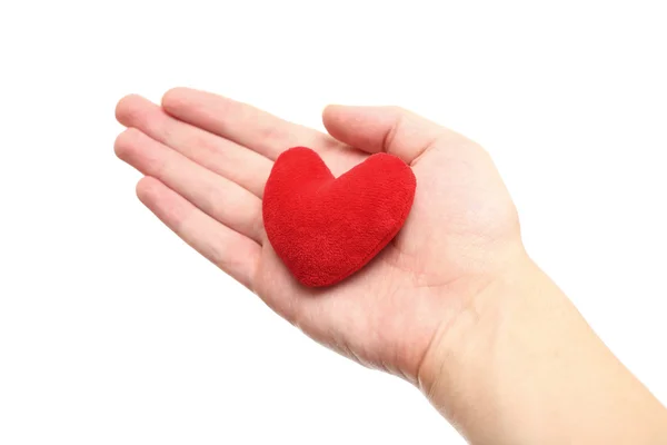 Coração roxo na mão — Fotografia de Stock