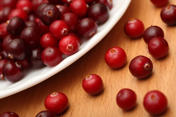 Cranberries — Stock Photo, Image