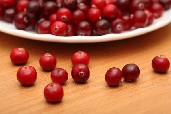 Cranberries — Stock Photo, Image