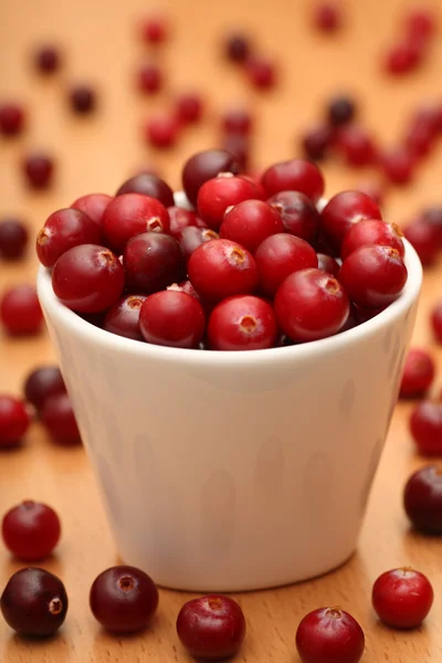 Cranberry — Stock Photo, Image