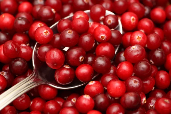 Preiselbeere auf Löffel — Stockfoto