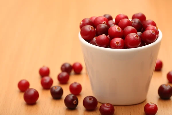 Cranberry — Stock Photo, Image