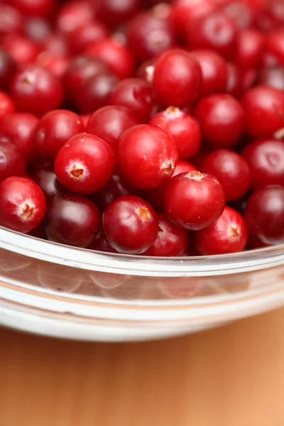 Cranberry — Stock Photo, Image