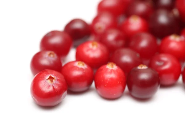 Cranberries — Stock Photo, Image