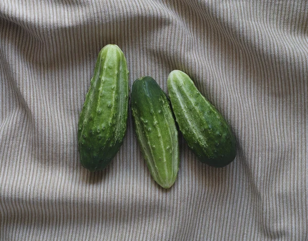 Cucumbers — Stock Photo, Image